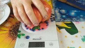 Отличный коллекционный сорт- Хамелеон  .