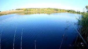 Ловля карпа и карасей на кружки