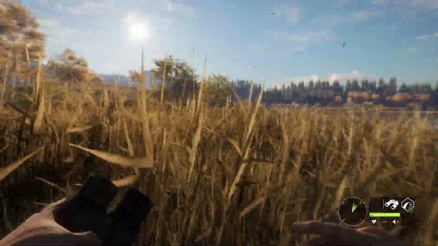 TheHunter Call of the Wild - ОХОТА на ОЛЕНЯ РУЗВЕЛЬТА и ЛОСЕЙ # 109 смотреть онлайн
