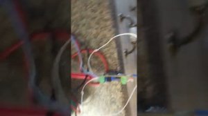 Датчик пламени Webasto BBW 46 на термопаре К-типа