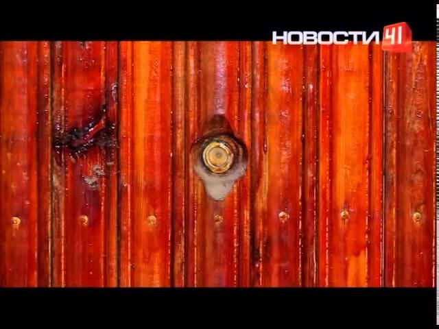 30 кошек в квартире у пенсионерки