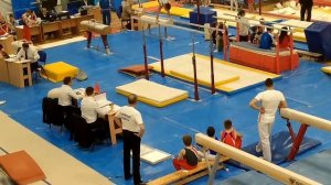 Спортивная гимнастика. 3 взрослый разряд. Ткаченко Герман