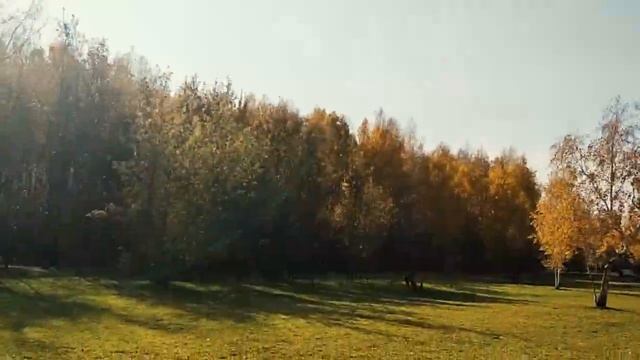 Экопарк Затюменский 05.10.2019 смотреть онлайн