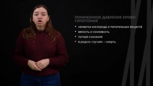 Пульс. Давление. Скорость тока крови и давление в сосудах | Биология