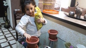 Как посадить цветок в горшок/ kak pasadit cvetok v garshok/ NARE MANUKYAN