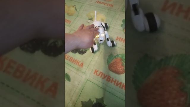 Обзор - игрушка робот собака BlueSea Robot Dog смотреть онлайн