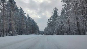 Зимняя дорога в Ленинградской области