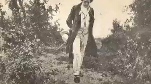 Beethoven - Spring Sonata (Violin Sonata No. 5 ) смотреть онлайн