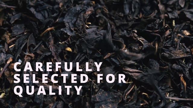 PANITOLA FIRST FLUSH - TGFOP 1 смотреть онлайн