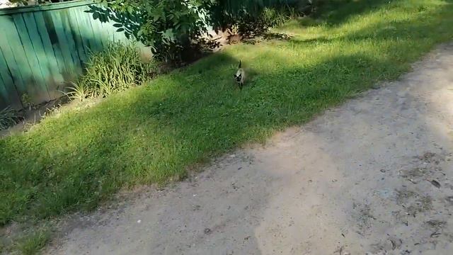дорога в село Благодатное