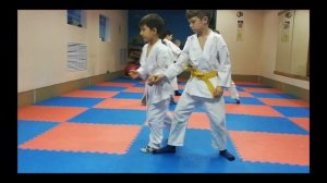 Kids Aikido training