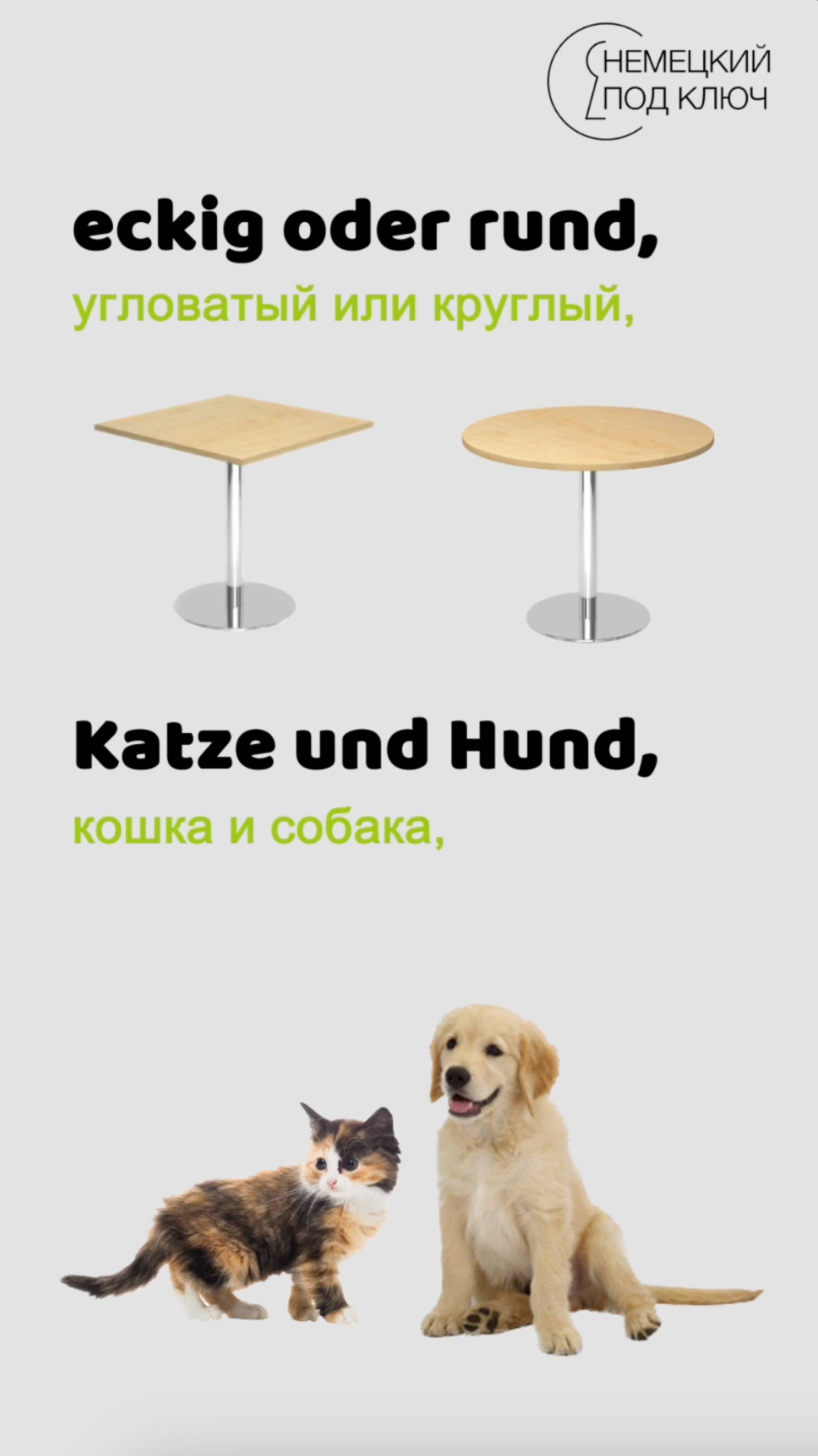 "Frau und Mann" Till Lindemann / Teil 4 / Немецкий по песням / #shorts смотреть онлайн