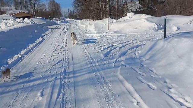 СПЕЦИАЛЬНО ДЛЯ ОКСАНЫ (СПБ) вл. ЦОНГ смотреть онлайн