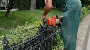 Бензопила или садовые ножницы? Как подравнивают кусты в парке