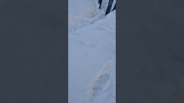 Прокуратура Нижнеилимского района организовала проверку после выхода в эфир программы "Вести-Иркутск