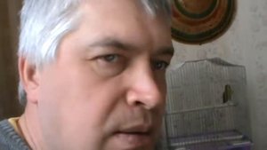 Птичий корм, птицы чижи и щегол