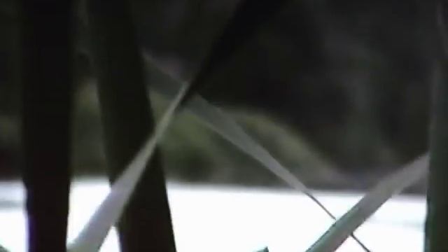 Поездка в родной город Ряжск. Рязанской области. Прогулка по городу