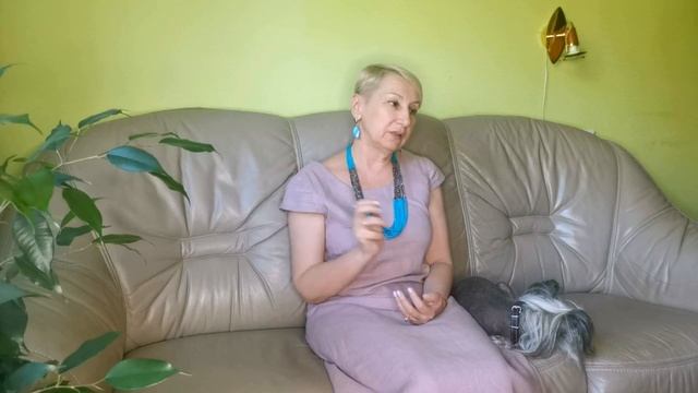 Среда. Техника замечательные замечания. смотреть онлайн