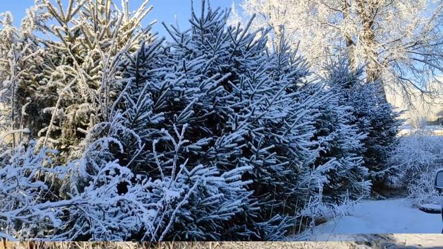 ЗИМНЯЯ СКАЗКА. смотреть онлайн