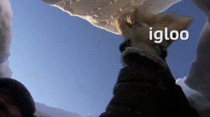 Go Getter 3 The Arctic 1