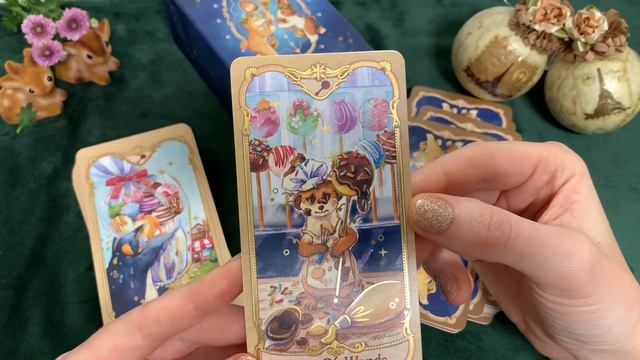 Обзор очаровательной колоды «Animal & Food Tarot»????”Таро Животных и Еды” от художника Maruko. смотреть онлайн