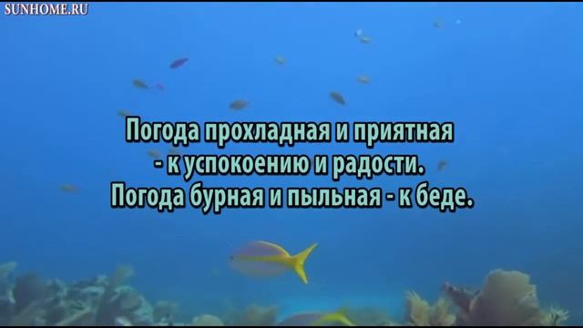 К чему снится Погода сонник, толкование сна смотреть онлайн
