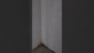 Визуализация квартиры для составления сметы на ремонт.  Скоро будет красиво ?