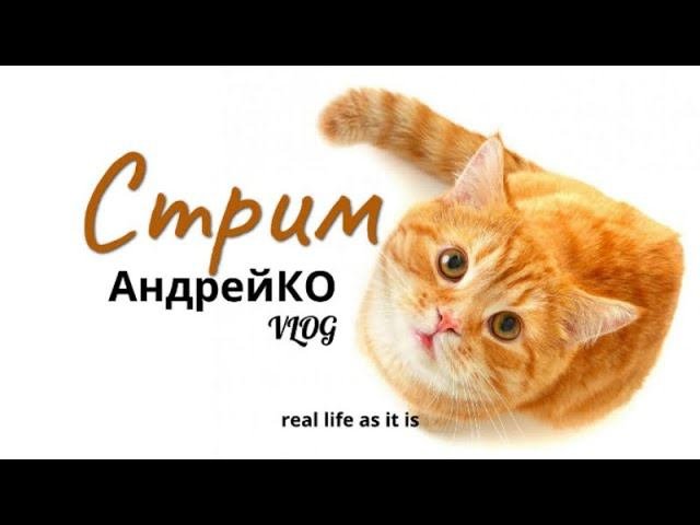 Онлайн!!!
