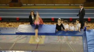 Батут Воронежская школа олимпийского резерва СДЮСШОР №2