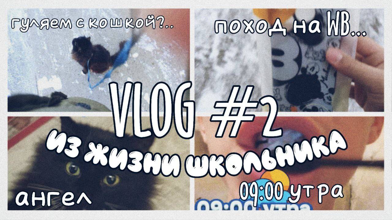 VLOG: ИЗ ЖИЗНИ ШКОЛЬНИКА | поход на вб | прогулка с кошкой | поход к бабушке | школа🏫