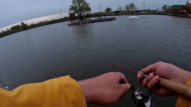 Ловля форели на платном водоеме Лагуна озеро Игумное. Весна 2022г.