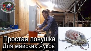 Простая ловушка для майских жуков #ТриЭкоСад