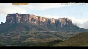 Исчезнувшие деревья ГИГАНТЫ. Планета земля