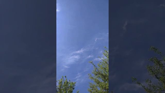Биполярное расстройство. Обряды.
