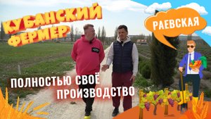 Кубанский фермер снова в Раевской: что изменилось за год? История успешного импортозамещения