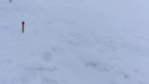 #клёваярыбалка #рыбалканабайкале #рыбалканаомуля #мухидляловлиомуля Настрои для рыбалки на омуля