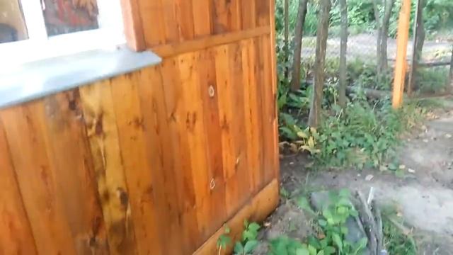 средство защиты для дерева, чем покрыть дерево-отличный вариант и способ нанесения
