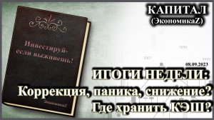 ИТОГИ НЕДЕЛИ: Коррекция, паника, снижение? Где хранить КЭШ и что делать с облигациями?