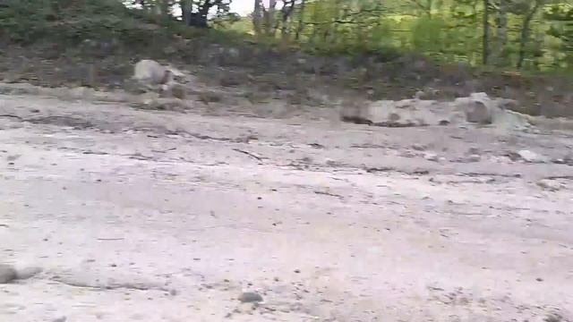 В Магнетиты и обратно смотреть онлайн