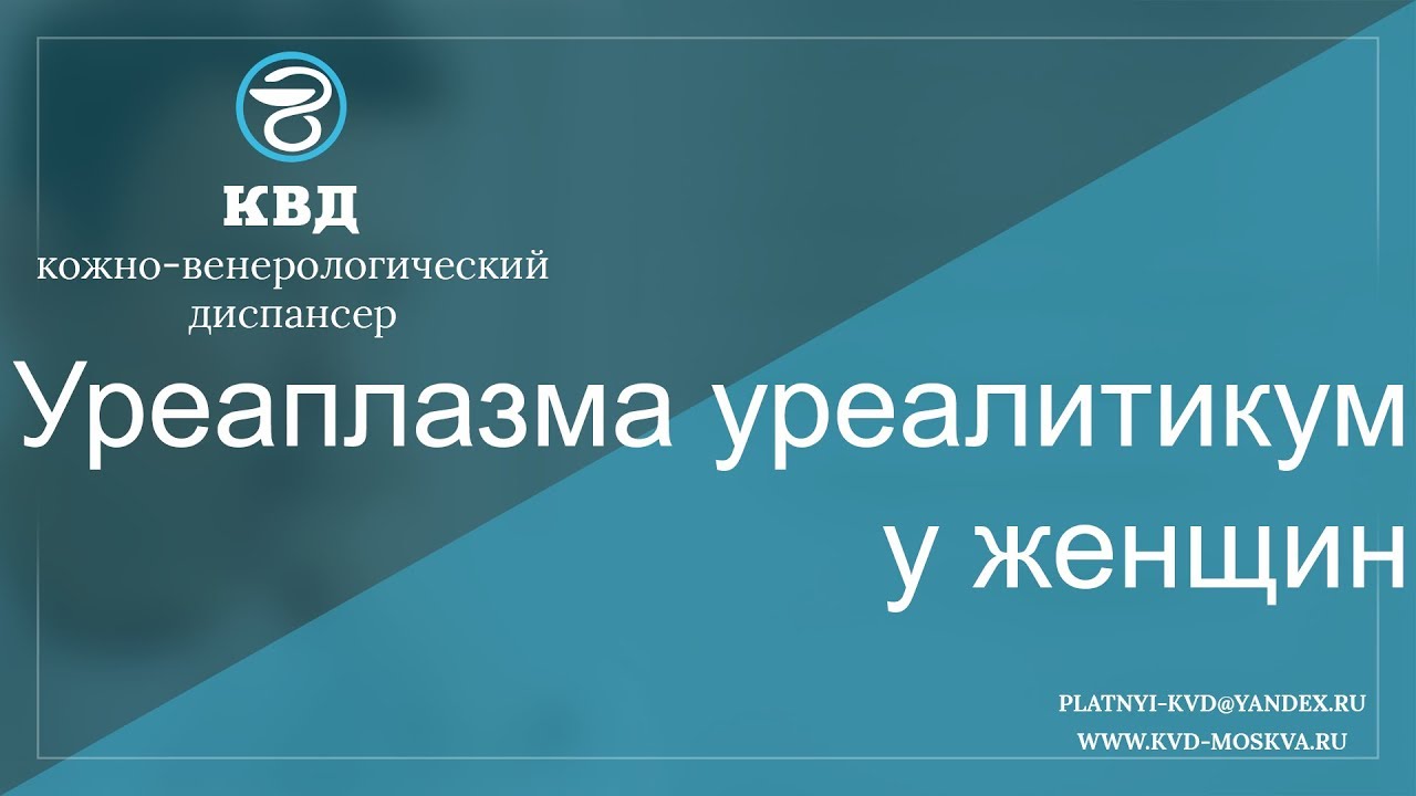 343  Уреаплазма уреалитикум у женщин
