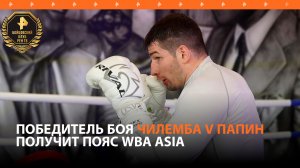 Победитель боя Чилемба – Папин получит пояс WBA Asia / Бойцовский клуб РЕН ТВ