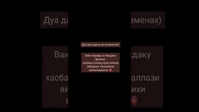 #экзамены #экзамен