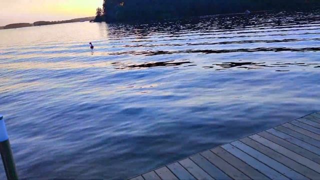 Пирс и водные активности в глэмпинге "Под небом" смотреть онлайн