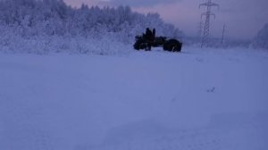 Вездеход Тунгус  по снегу