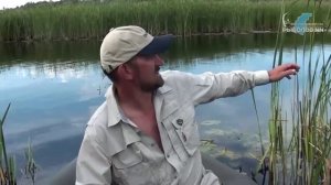 Реки Имза и Урга. Рыбалка в Нижегородской области.