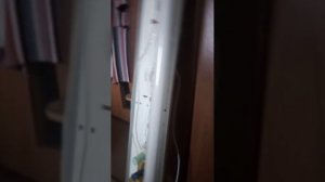 мои люминисцентные светильники запуск и работа(описание!)