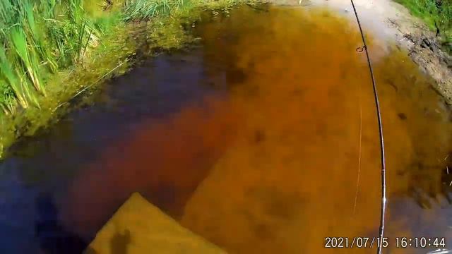 @Попла поппер Испытание на воде Дневник рыболова 15 07 21 смотреть онлайн