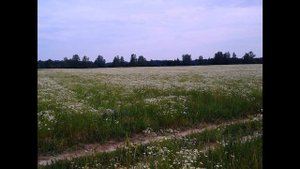 Мой родной край!☺