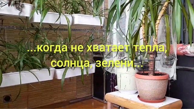 ? СОВЕТ на 1.000.000? ??Как создать ОРАНЖЕРЕЮ своими руками ? в квартире ? смотреть онлайн