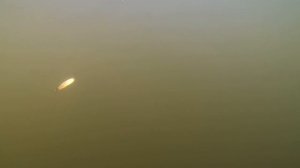 Игра блесны Williams Wabler